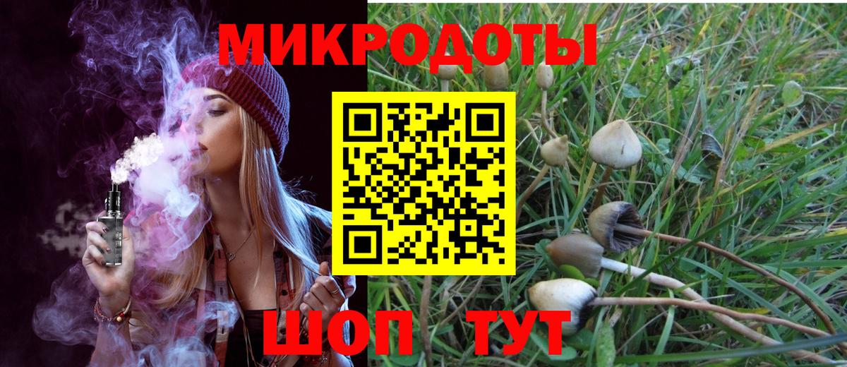 Галлюциногенные грибы мухоморы Архангельск
